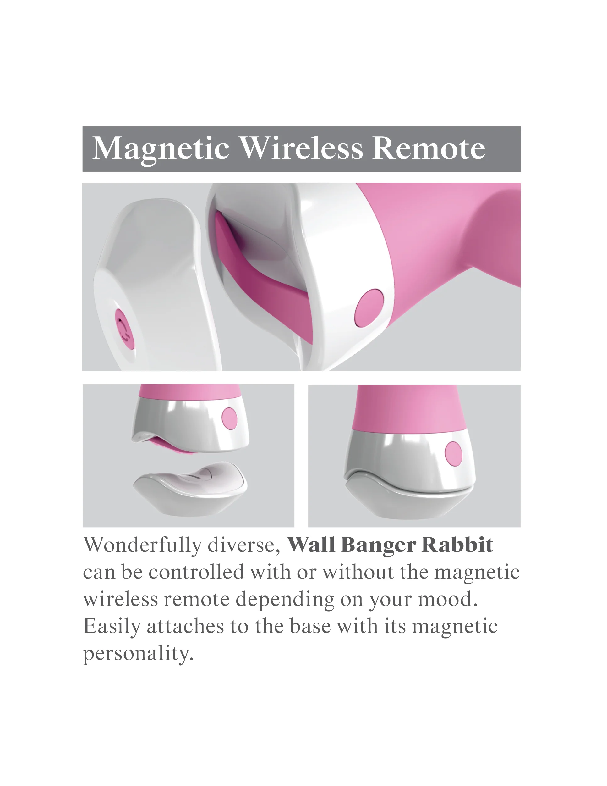 Wall Banger Rabbit - Image 9